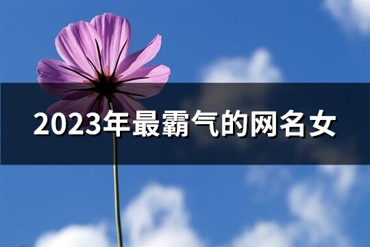 2023年最霸气的网名女(优选1168个)