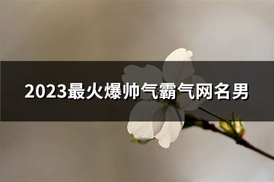 2023最火爆帅气霸气网名男(1302个)