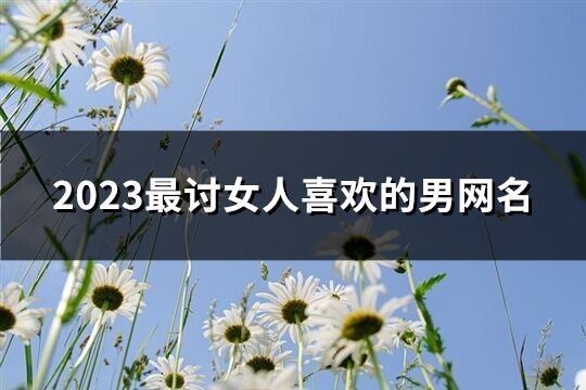 2023最讨女人喜欢的男网名(441个)