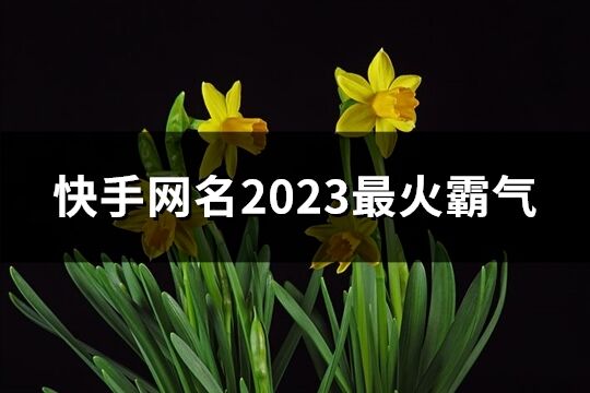 快手网名2023最火霸气(优选562个)