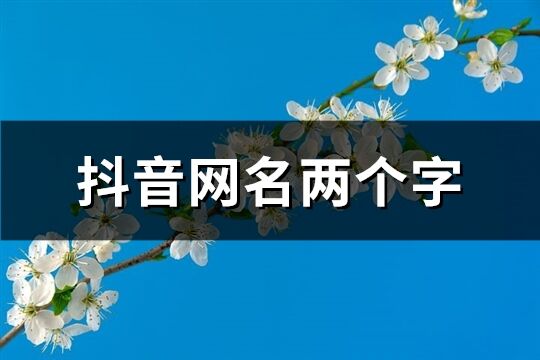 抖音网名两个字(优选856个)