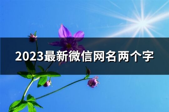 2023最新微信网名两个字(优选1329个)