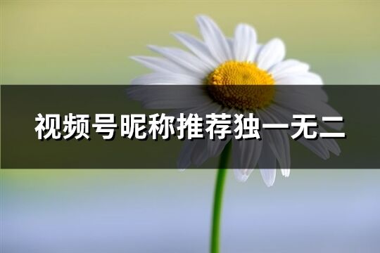 视频号昵称推荐独一无二(精选212个)