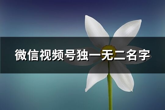 微信视频号独一无二名字(优选100个)