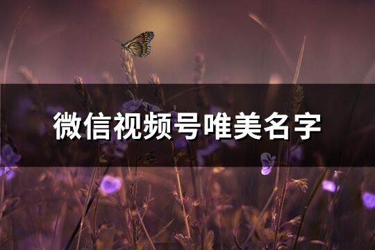 微信视频号唯美名字(优选121个)