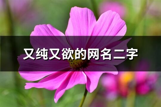 又纯又欲的网名二字(209个)