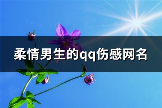 柔情男生的qq伤感网名(精选248个)