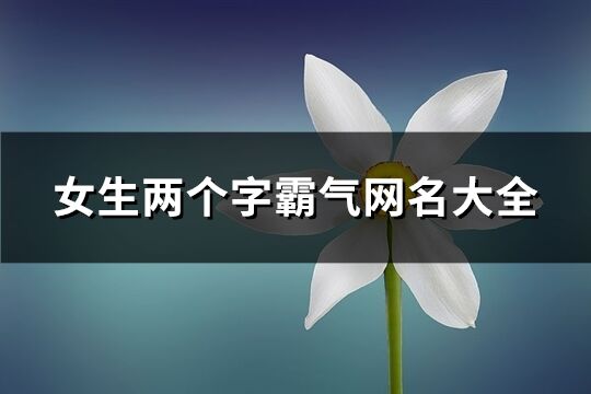 女生两个字霸气网名大全(优选344个)