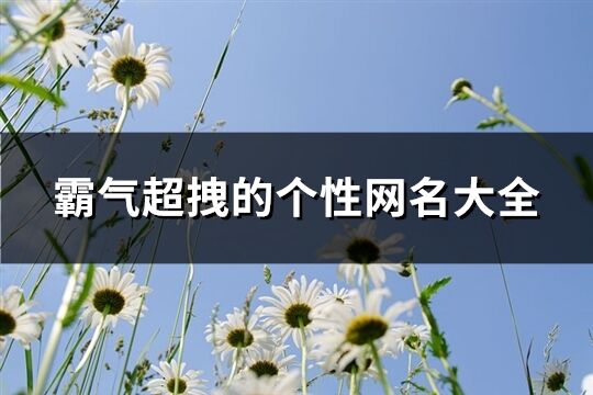 霸气超拽的个性网名大全(优选239个)