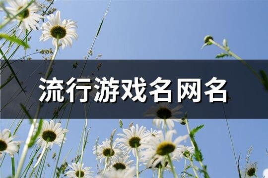 流行游戏名网名(精选287个)