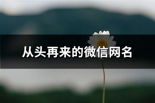 从头再来的微信网名(优选104个)