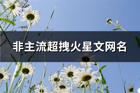 非主流超拽火星文网名(精选157个)