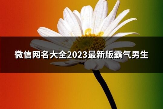 微信网名大全2023最新版霸气男生(1126个)