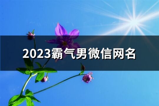 2023霸气男微信网名(精选1065个)