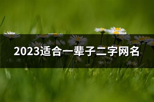 2023适合一辈子二字网名(优选908个)