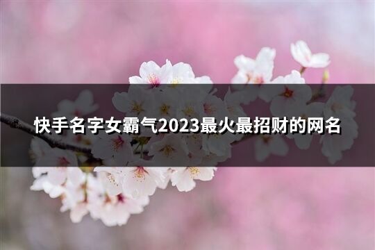 快手名字女霸气2023最火最招财的网名(优选460个)