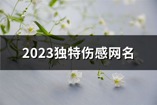 2023独特伤感网名(精选586个)