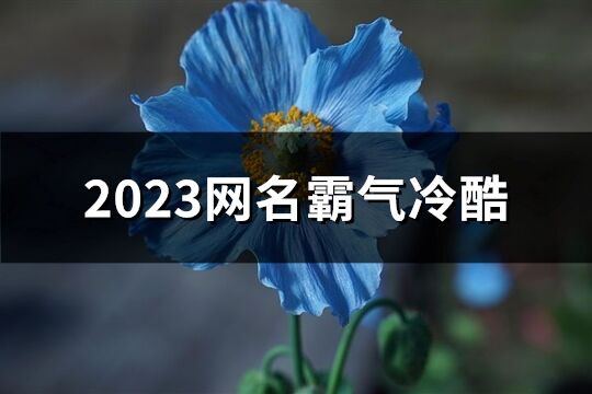 2023网名霸气冷酷(精选987个)