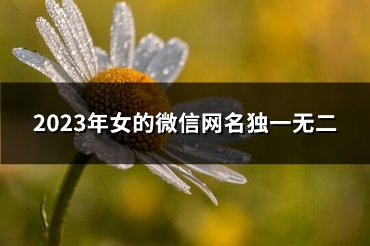 2023年女的微信网名独一无二(244个)