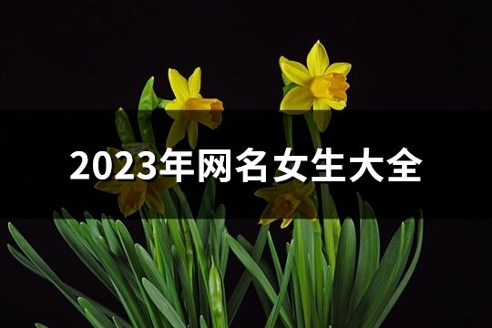 2023年网名女生大全(共1851个)