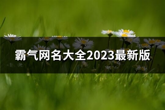 霸气网名大全2023最新版(共1122个)