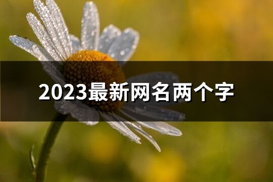 2023最新网名两个字(1450个)