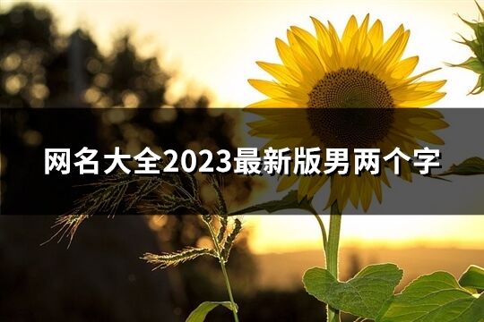 网名大全2023最新版男两个字(共1180个)