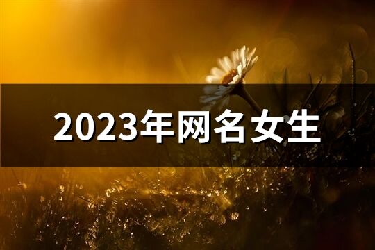 2023年网名女生(2749个)