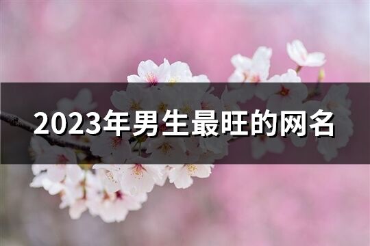 2023年男生最旺的网名(713个)