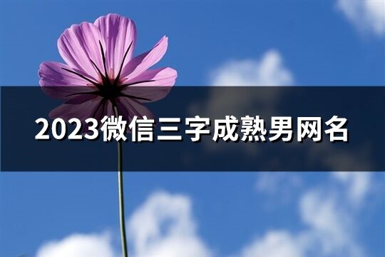 2023微信三字成熟男网名(精选718个)