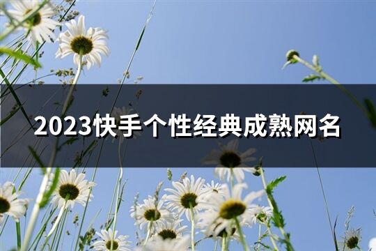 2023快手个性经典成熟网名(1043个)