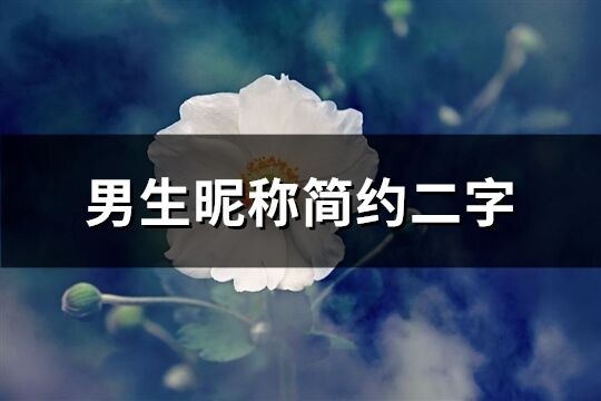 男生昵称简约二字(优选694个)