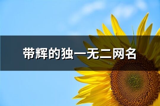 带辉的独一无二网名(精选75个)