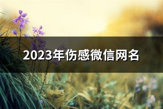 2023年伤感微信网名(精选130个)