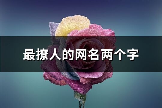 最撩人的网名两个字(共321个)