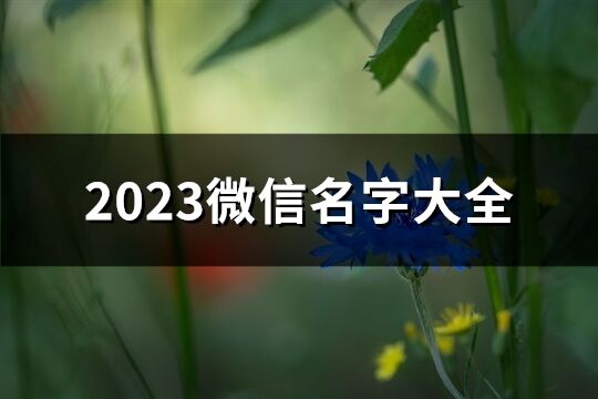 2023微信名字大全(共2797个)