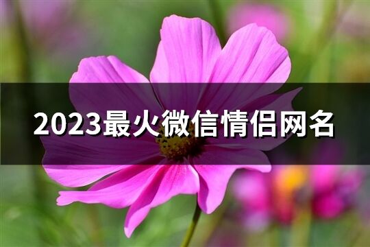 2023最火微信情侣网名(654个)