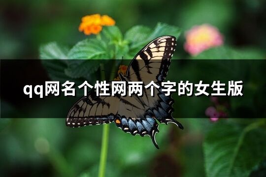 qq网名个性网两个字的女生版(1371个)