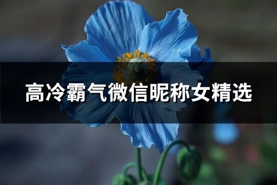 高冷霸气微信昵称女精选(91个)