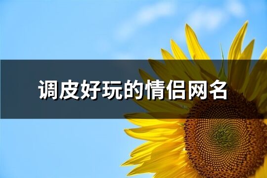 调皮好玩的情侣网名(共72个)