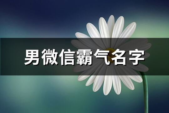 男微信霸气名字(共515个)