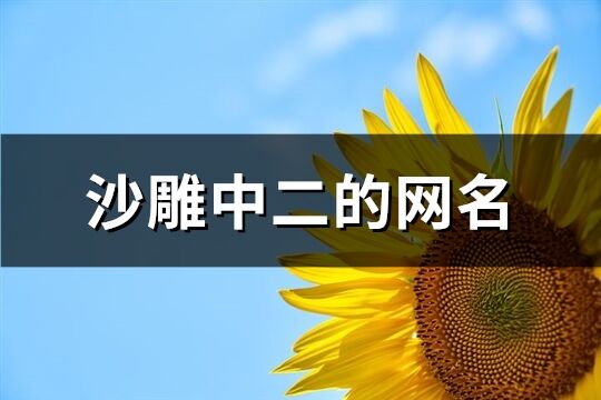 沙雕中二的网名(精选98个)