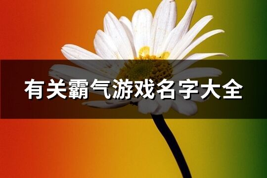 有关霸气游戏名字大全(共738个)