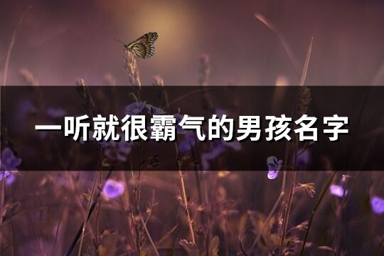 一听就很霸气的男孩名字(精选143个)