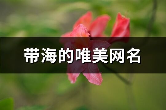 带海的唯美网名(优选76个)