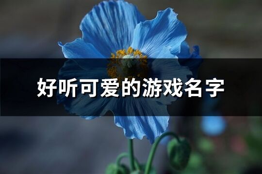 好听可爱的游戏名字(优选543个)