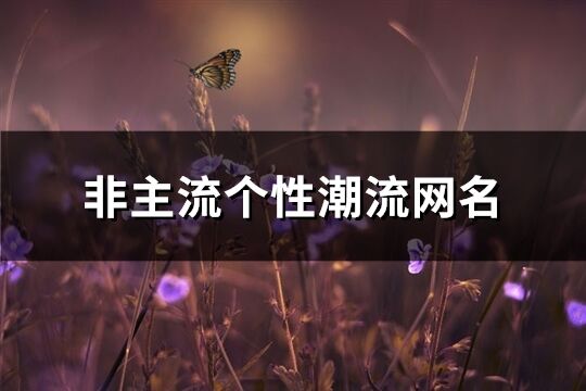 非主流个性潮流网名(精选663个)