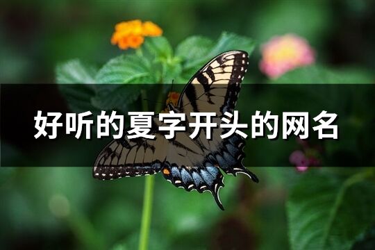 好听的夏字开头的网名(优选103个)