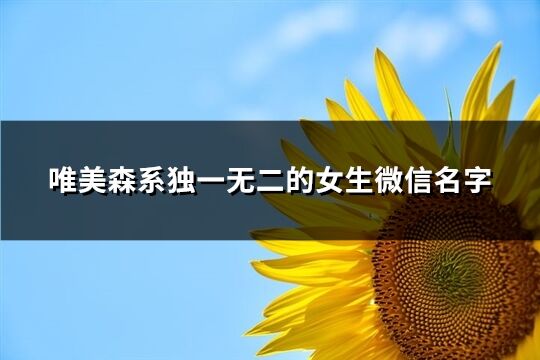 唯美森系独一无二的女生微信名字(精选485个)