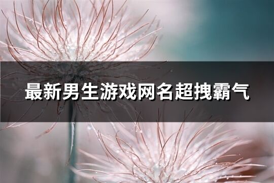 最新男生游戏网名超拽霸气(737个)